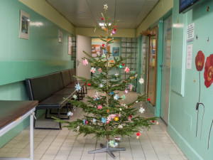 Českokrumlovskou nemocnici provoněly pravé stromky z Blanského lesa