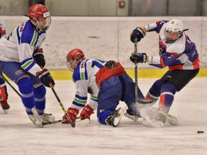 Vánoční turnaj Jaroslava Pouzara o pohár Skupiny ČEZ