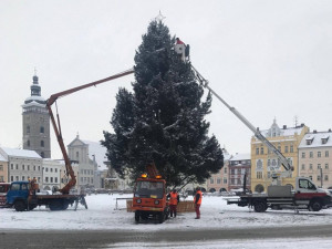 Zítra bude odstraněn z náměstí vánoční strom