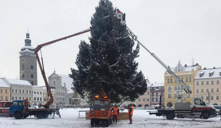 Vánoční strom na náměstí Přemysla Otakara II.