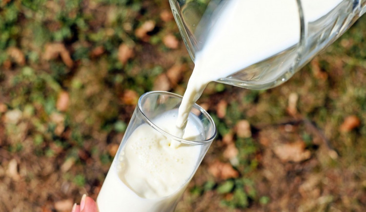Madeta neprodlouží smlouvu se 44 dodavateli mléka