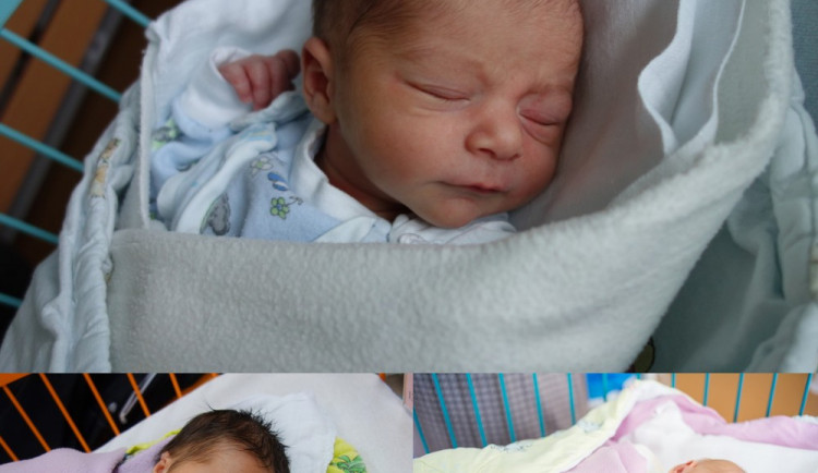 Drbňátka měsíce listopad