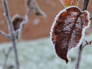 Ve Volarech v pátek naměřili meteorologové minus 28,3 stupně Celsia
