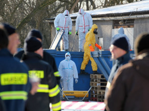 Utrácení kachen na farmě v Řitovízi