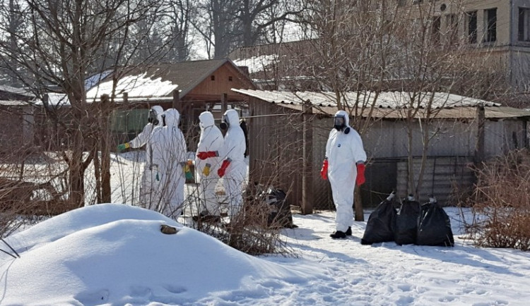 Ptačí chřipka znovu udeřila v jižních Čechách. Veterináři utratili asi stovku kusů drůbeže ve Volyni