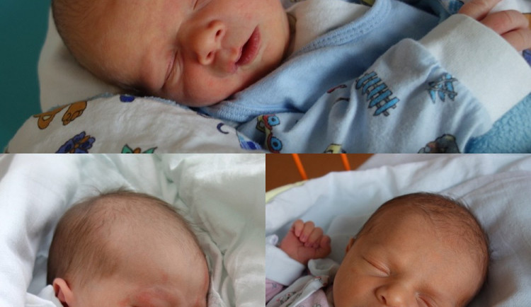 Drbňátka měsíce prosinec