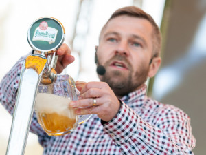 Bosch Fresh Festival