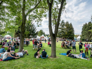 Bosch Fresh Festival