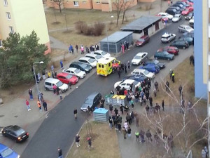 17028778_1304796412935002_1988835462_n