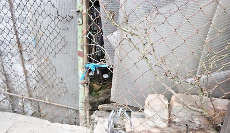 Pes utekl dírou v plotě a ohrožoval kolemjdoucí.