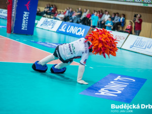 VK České Budějovice – VK Euro Sitex Příbram