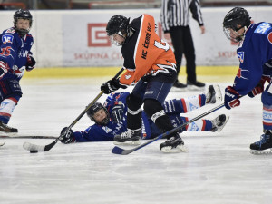 Na Spring Cupu v Hokejovém centru Pouzar se o víkendu ukáže osmička týmů
