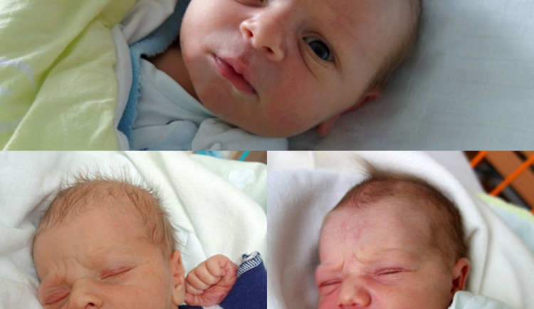 Vilém Franc, Petr Tydlačka a Leonie Hartl