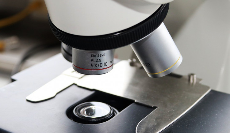 Ilustrační obrázek