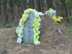 STŘÍPKY Z PEKINGU: Svátky vymetání hrobů