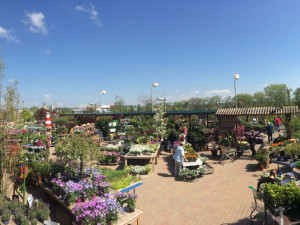 Zahradnické centrum Ferenčík v Českých Budějovicích.