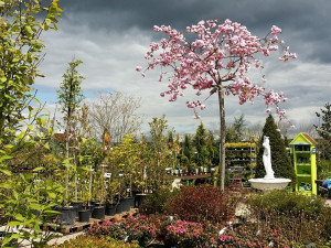 Zahradnické centrum Ferenčík v Českých Budějovicích.