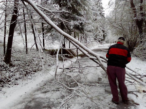 FOTO: Sníh trápí jižní Čechy. V kraji je vyhlášen kalamitní stav