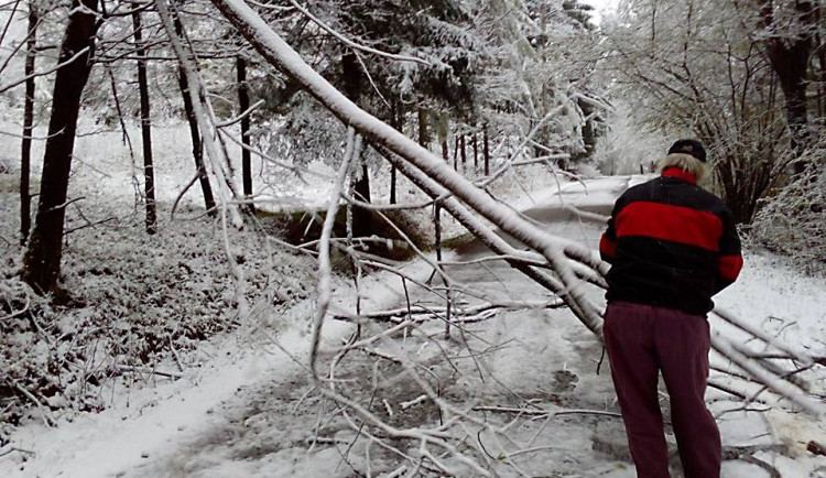 Aprílový příděl sněhu trápí jižní Čechy.  Foto je z chatové osady U Želízků u Strážkovic.