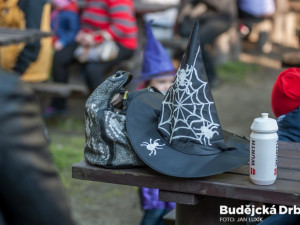 Slet čarodějnic před českobudějovickou Slavií.