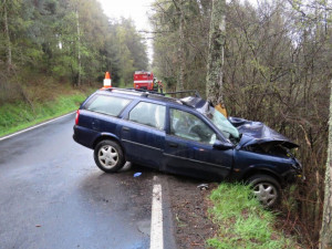 U Vlachova Březí nezvládla řidička řízení a narazila do stromu.