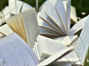 V Česku loni vyšlo téměř osmnáct tisíc knih, z toho více než pět a půl tisíce titulů beletrie