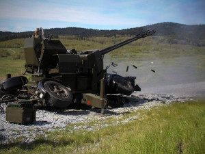 Součinnostní cvičení české a rakouské vojenské jednotky pozemní protivzdušné obrany v Boleticích.