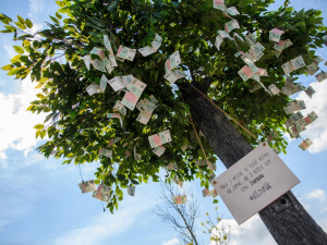 Kilovník před nákupním centrem Géčko v Českých Budějovicích.
