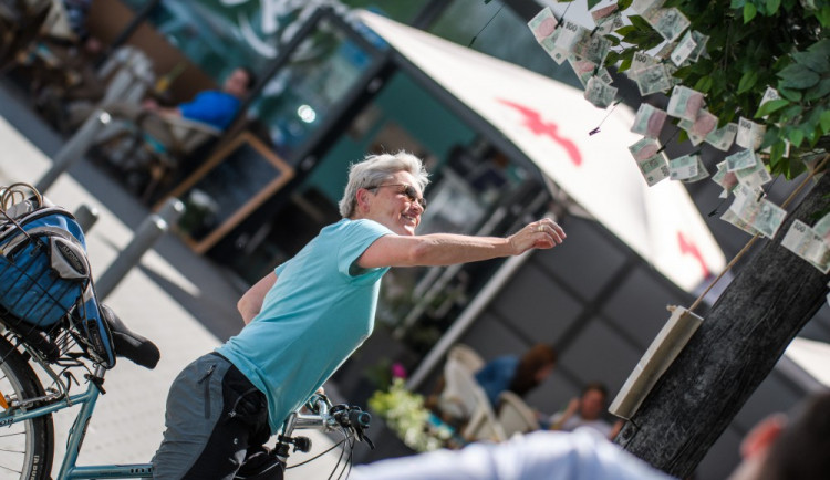 Kilovník před nákupním centrem Géčko v Českých Budějovicích.