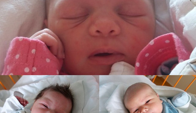 Březnová drbňátka