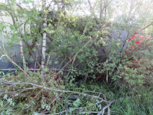 Havárie nákladního auta na silnici mezi obcemi  Houžná – Lenora  na Prachaticku.