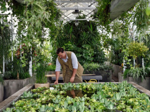 Na natáčení trilogoie Zahradnictví se podílelo také českobudějovické Zahradnické centrum Ferenčík.