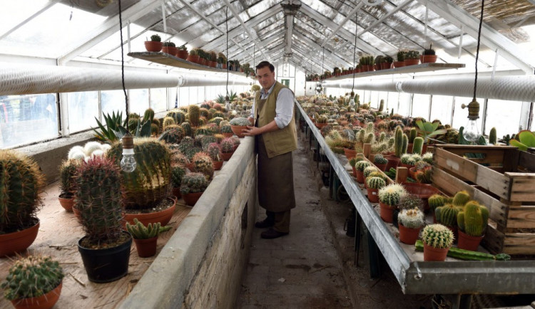 Na natáčení trilogoie Zahradnictví se podílelo také českobudějovické Zahradnické centrum Ferenčík.