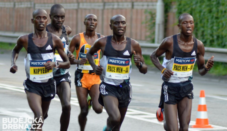 KAM ZA SPORTEM: Lákadlem je půlmaraton s africkými běžci