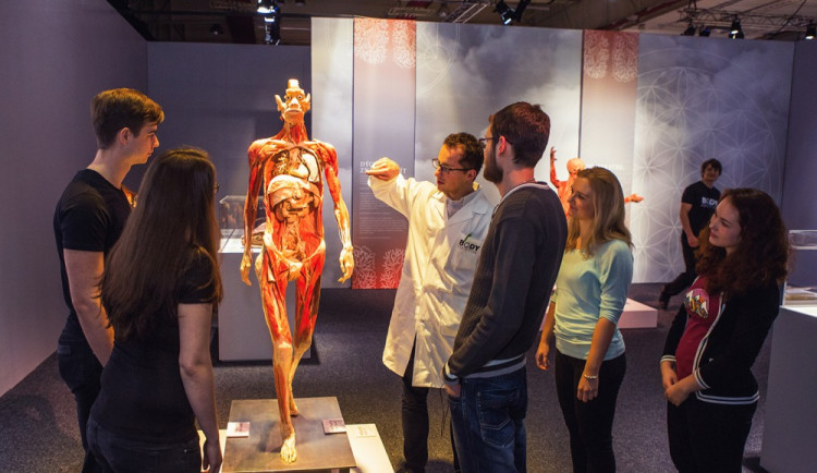 SOUTĚŽ: Unikátní výstava Body The Exhibition provádí fascinujícím světem lidského těla