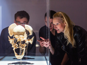 Výstava Body The Exhibition.