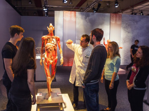 SOUTĚŽ: Unikátní výstava Body The Exhibition provádí fascinujícím světem lidského těla