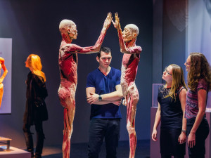 Výstava Body The Exhibition.