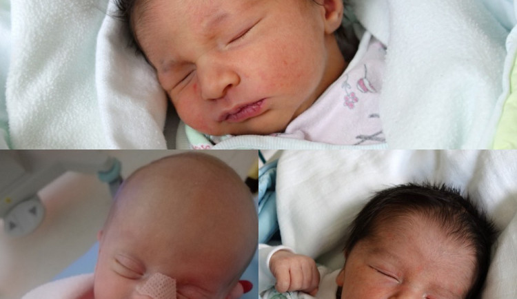 Drbňátka měsíce dubna.