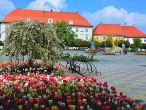Vyrazit v létě na Vltavotýnsko se zdá jako ten nejlepší nápad. Město totiž bude žít kulturou a uměním po celé léto.