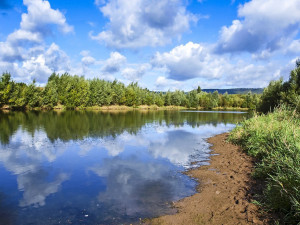 Jihočeská koupaliště jsou pod dohledem. Krajská hygienická stanice prováděla další testy