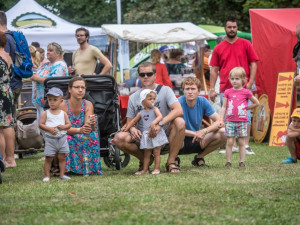 Borůvkobraní v Borovanech.