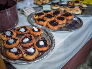 Borůvkobraní v Borovanech.