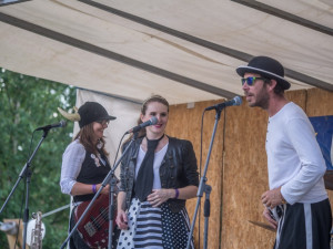 Borůvkobraní v Borovanech.