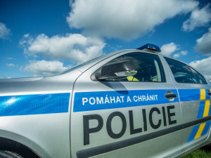 Hledači vltavínů bezostyšně rozrývají lesy, pole a zahrady na jihu Čech