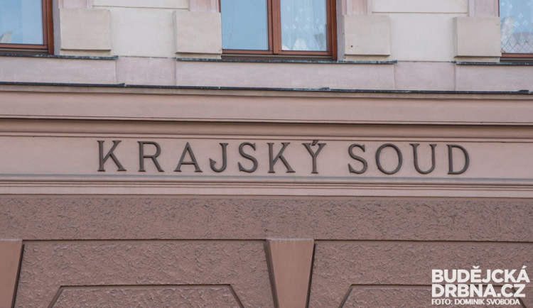Za loňskou vraždu policisty na Českobudějovicku dostal mladík osmnáct let vězení