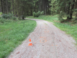 Cesta, na které kočár havaroval