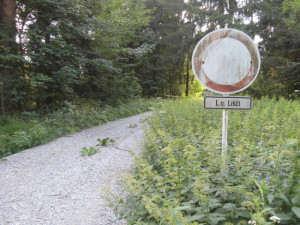 Nehoda u Přední Výtoně