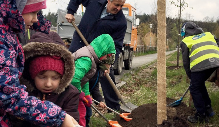 Nadace ČEZ přijímá žádosti o podzimní výsadbu v grantovém řízení Stromy