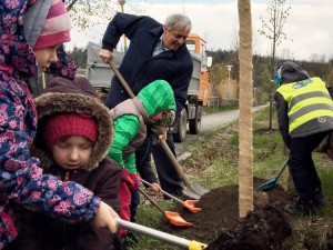 Nadace ČEZ přijímá žádosti o podzimní výsadbu v grantovém řízení Stromy